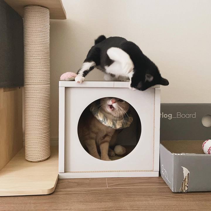 4df13b04 3f0a 41a9 9ae2 8461208dc538 1707960848748