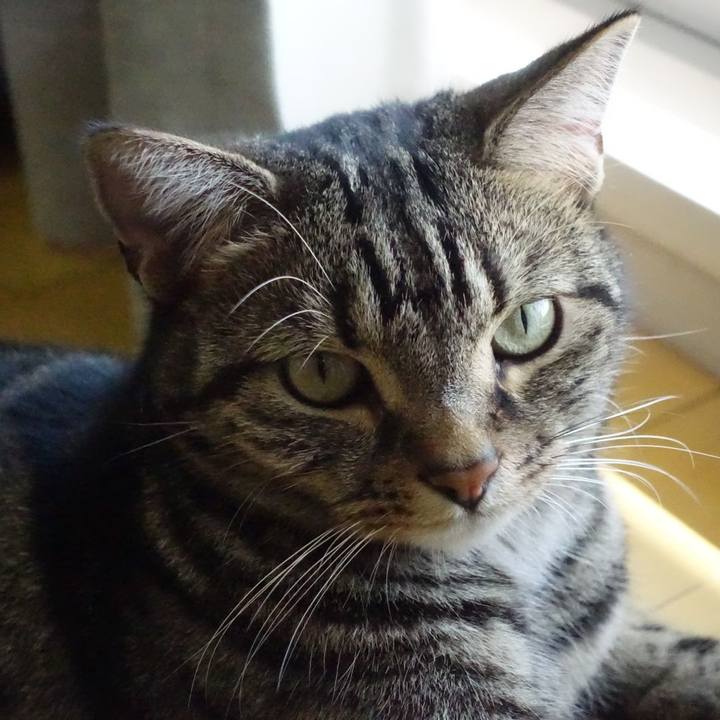 4df14e28 94c7 4bff b59c 5ae223d43ec5 1565355293384