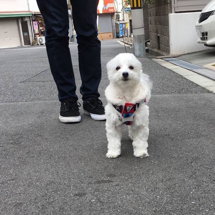 4df16c28 fde4 45bd 8b20 575fc718eb4c 1511154745649