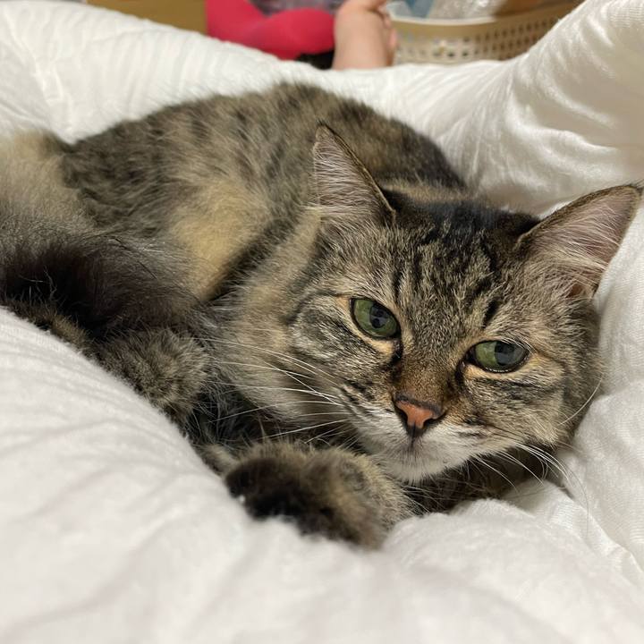 4df19afa 7ca7 4cc4 a21e 256ea18959a8 1729659576660