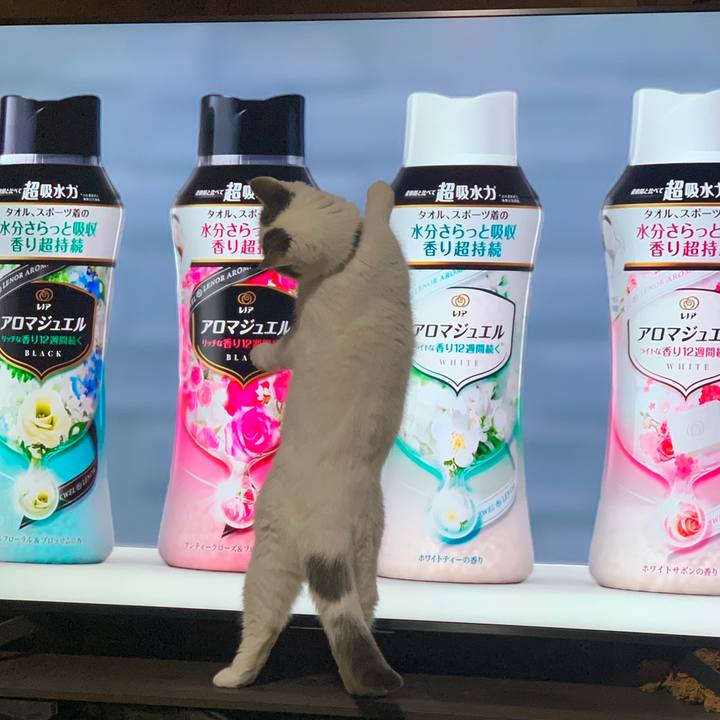 4df1b952 0336 4be3 a450 9e7a40c210b6 1675944304821