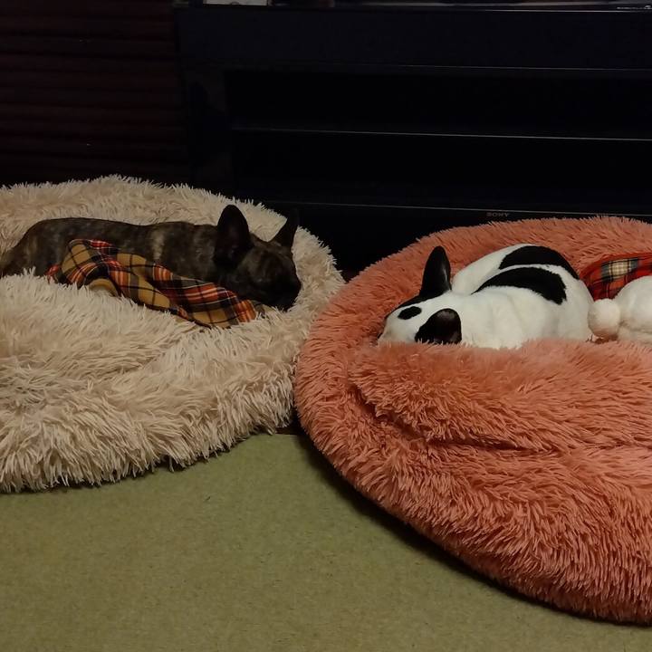 4df1c531 7329 4f85 8d9a 56d4f29686ad 1707517387931