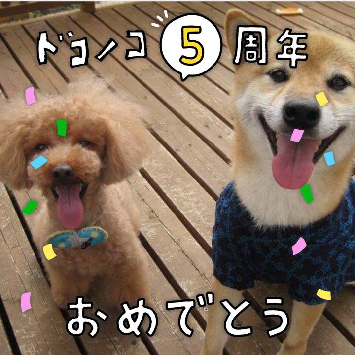 4df1c725 69b8 410d a16c 5a91fa54d966 1622860132177