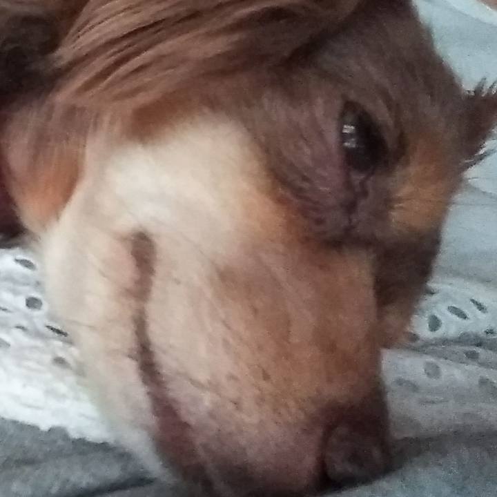 4df1f355 b78d 4df0 af60 edea0ae7922a 1531714277095