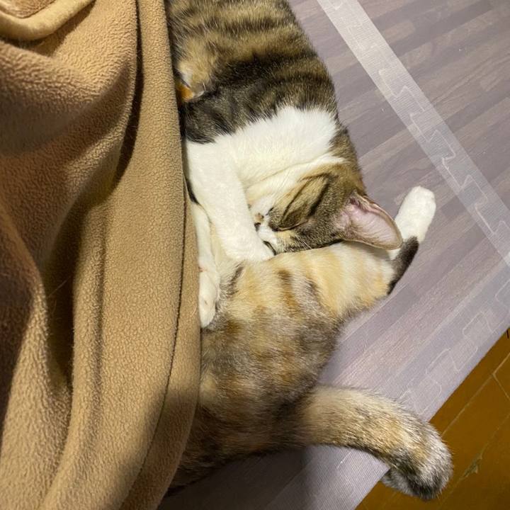 4df1f9d2 165e 4391 850e 4926bc14d34d 1607698404052