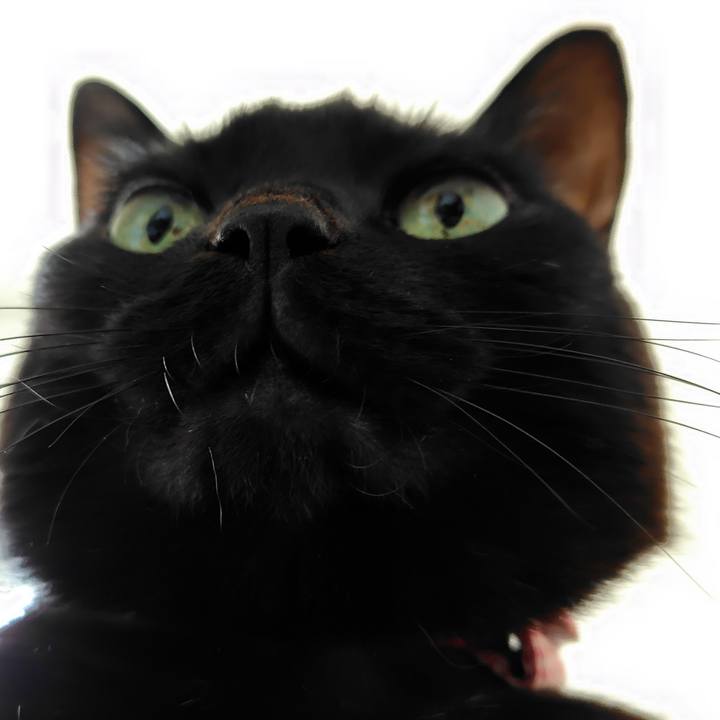 4df23628 40a0 4a7a a15f fdb0defd9a21 1768206452303