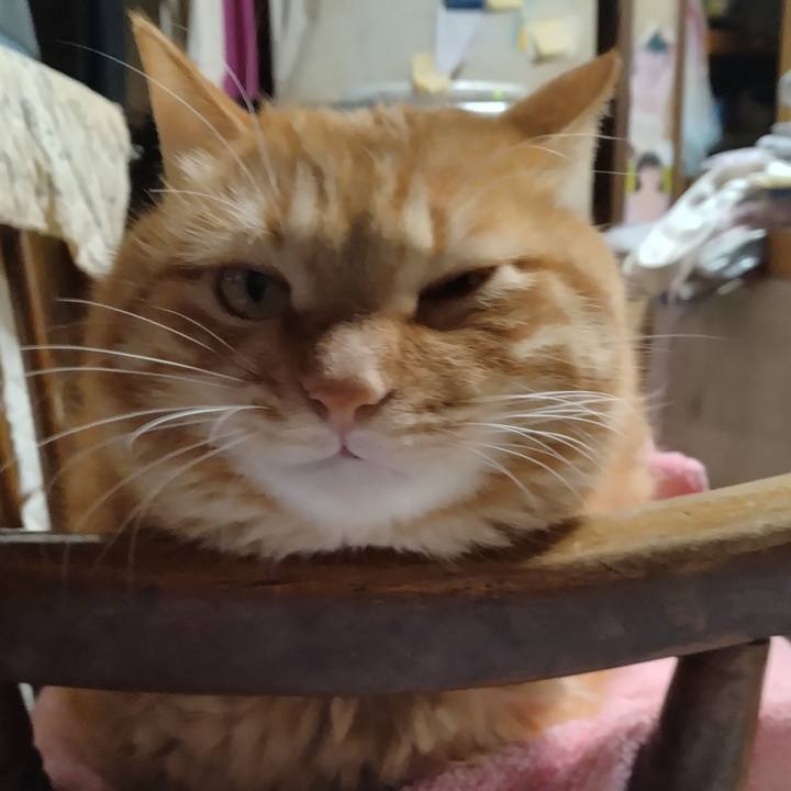 4df25898 34d9 488d af40 783a0a45d562 1705661008885