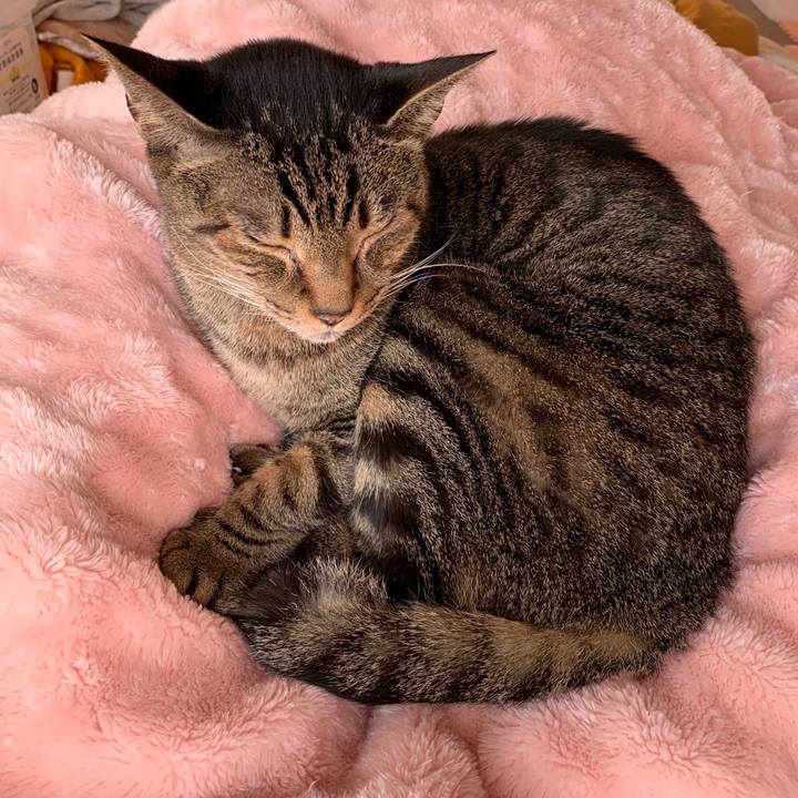 4df259de 3bcd 437a b6e8 6d06f7507b85 1576026630666