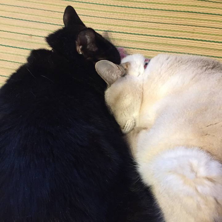 4df25c6d c623 4ac3 81d2 66650c1fd52a 1571275835957