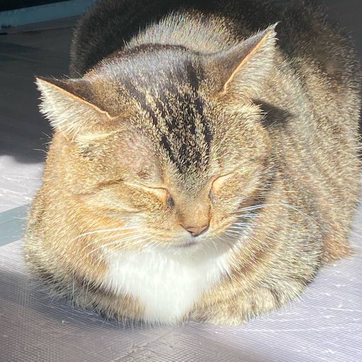 4df27a4b b5e4 4e3f 9e99 7ba1512dc826 1643591551689