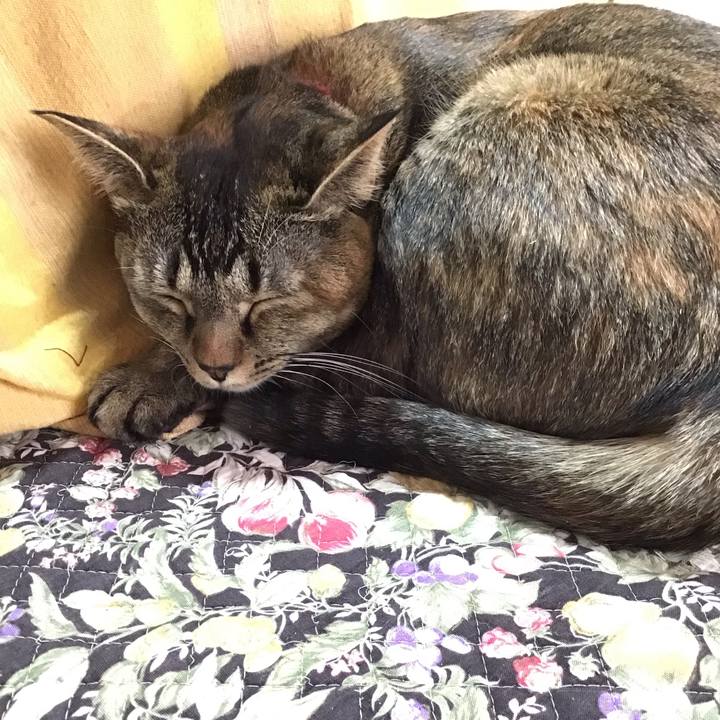 4df2bb02 81b0 4c90 a91f ebc684c5483b 1638682500447