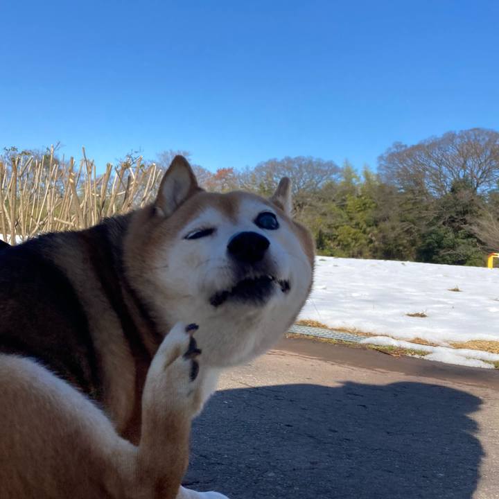 4df32120 4910 4972 a65b 9e0efc44a34f 1707286734987