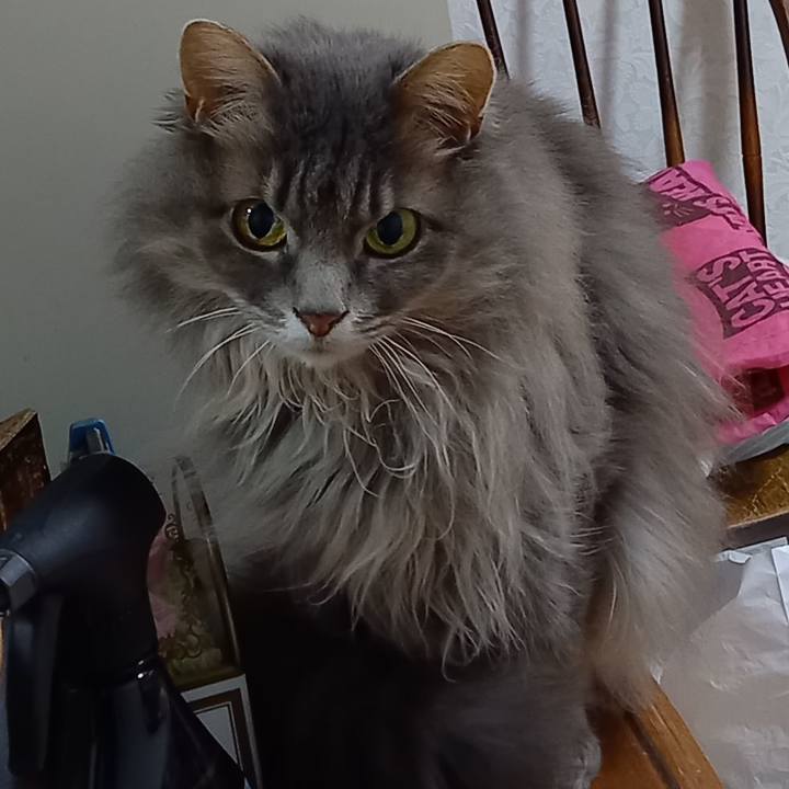 4df38b94 b47a 41e2 b5fd f19336e49b8b 1648986046345