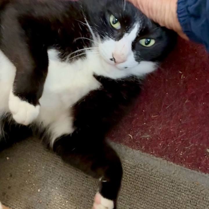 4df3a46b f653 428e a715 1f38e28d55e7 1749952236078