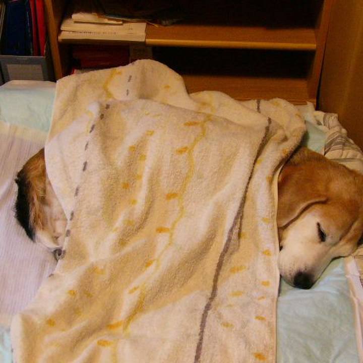 4df3b403 6806 419d 9fcd 125aef34b18e 1681093712901