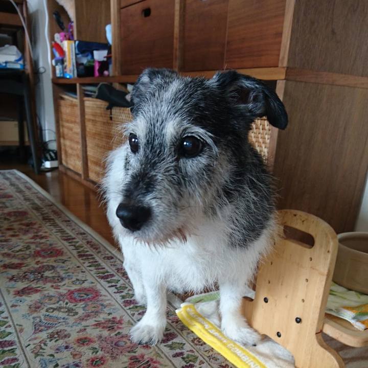 4df3be40 e897 4c60 a339 e68cd868a647 1565698137065