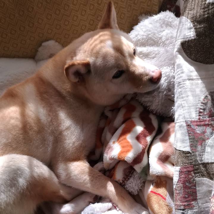 4df40e05 571d 4ff7 9d95 e83eba140ddd 1552094717982