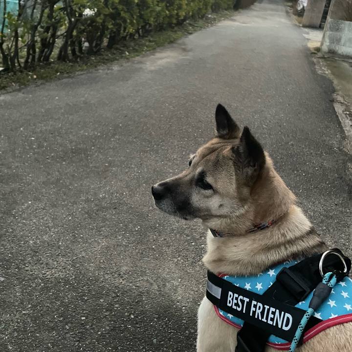 4df458e5 1f26 4f49 9ce7 b816fdd98efc 1707308906839