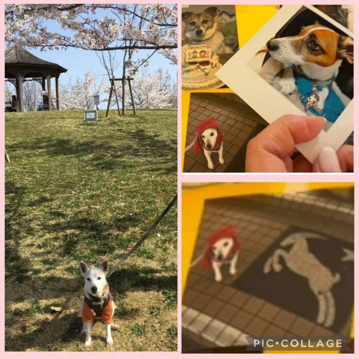 4df45b7a b4ee 4d11 80c7 66afcab60420 1774999588162