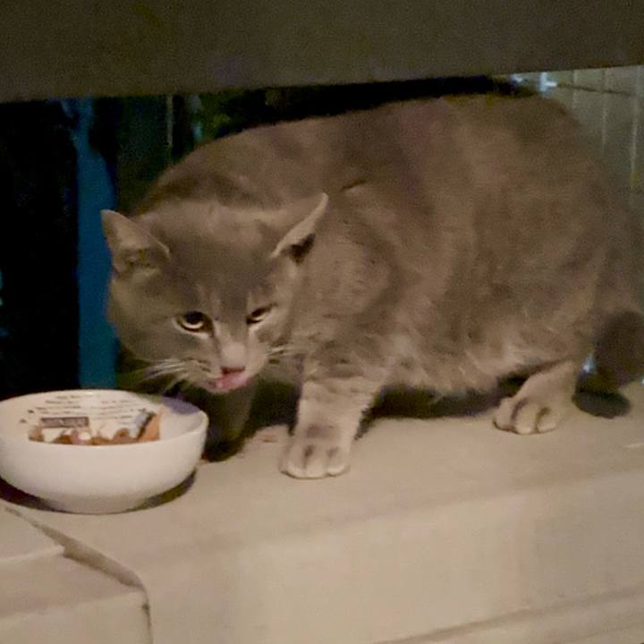 4df46fc9 5382 4044 9f73 1584ab766e5a 1765540016069