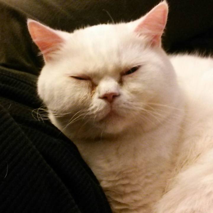 4df47506 7f67 4c93 b655 5669a58ee4bf 1588573126697