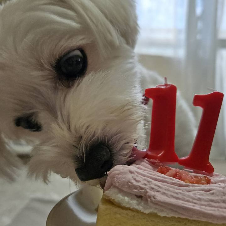 4df4a0c4 fcf9 434a 9d2b e0b172c25f7e 1758622486688