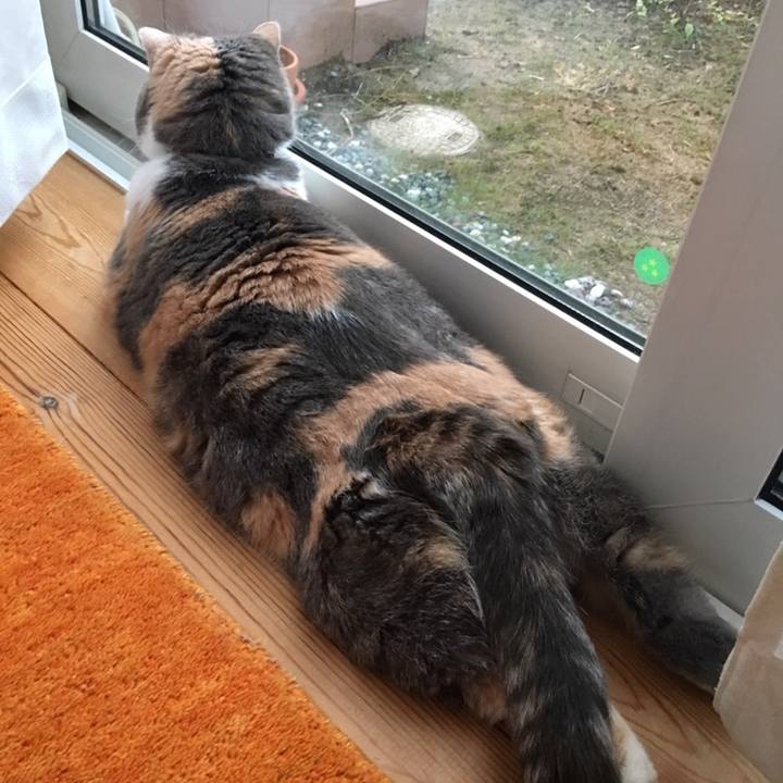 4df4a844 125a 4ff9 8327 bb71712a0a0a 1558311864910