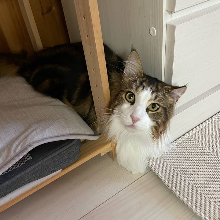 4df4ac92 ab34 4b21 bda1 57e0981fd59a 1657311873629