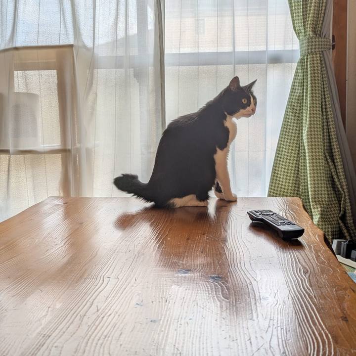 4df4c356 f7a0 4e3c a5fe 6c844cd963d5 1773190740511