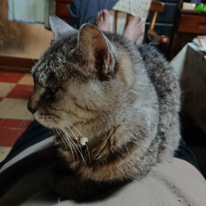 4df4dca2 26f5 437b 9d96 da3109b454cc 1573903147394