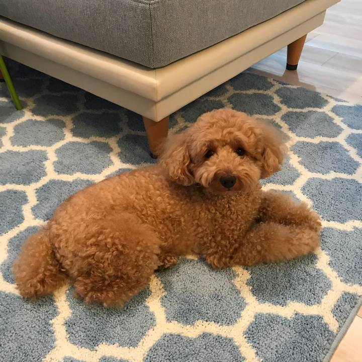 4df4f01d 7ee7 4eff 9452 4a6a37d62da9 1537948661671