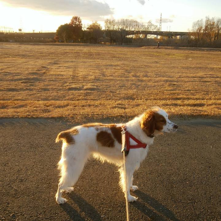 4df51b05 81f9 43e2 873e 9e9d3ab36415 1545912136174