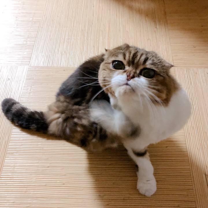 4df5209e 66c7 4691 bc2c c1a2a086c6f6 1562598619195