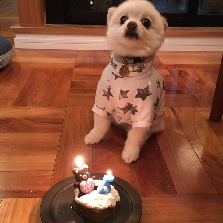 4df53dea dfdd 4527 9c67 95d0a7352310 1615637106301