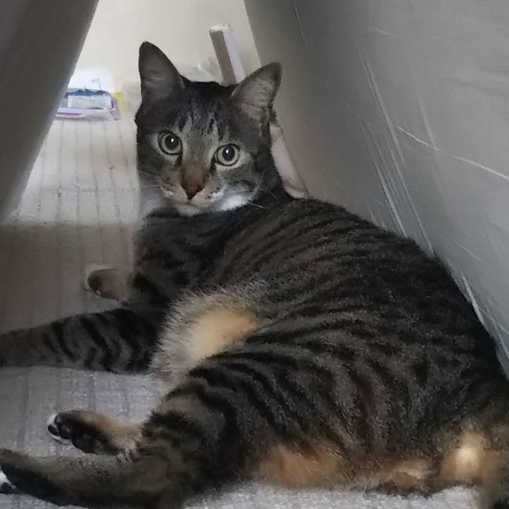 4df5686d 36a8 4c3e 988e 67bdc9643250 1623402752742