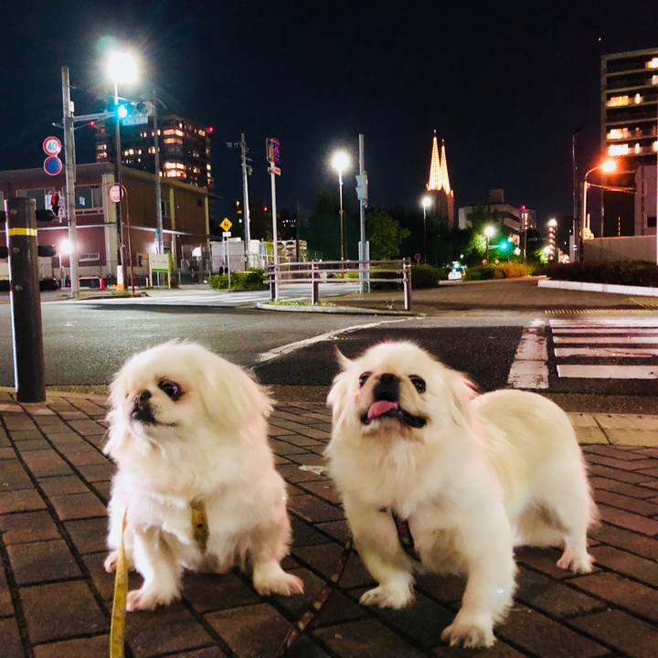 4df57cc7 5d54 4d93 885c 46e5251a11a0 1601896994304