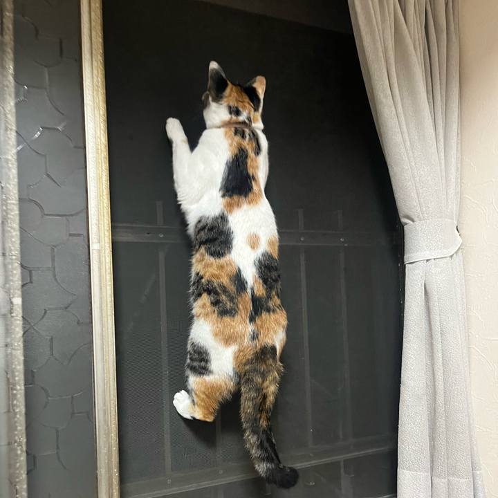 4df5b295 bbfd 4e08 acb3 54e86a629320 1758930205668