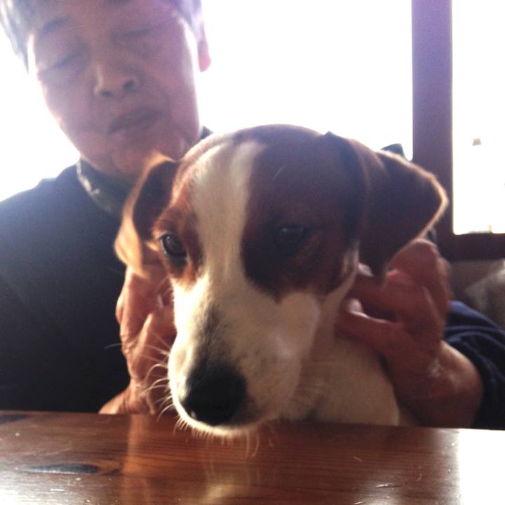 4df5b4fa c000 492b a584 2fea66923e38 1517389755116