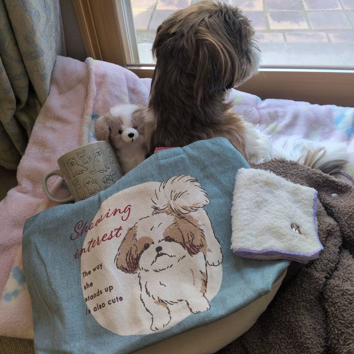 4df5d026 0612 4680 8367 313c84cc6cf1 1767018789702