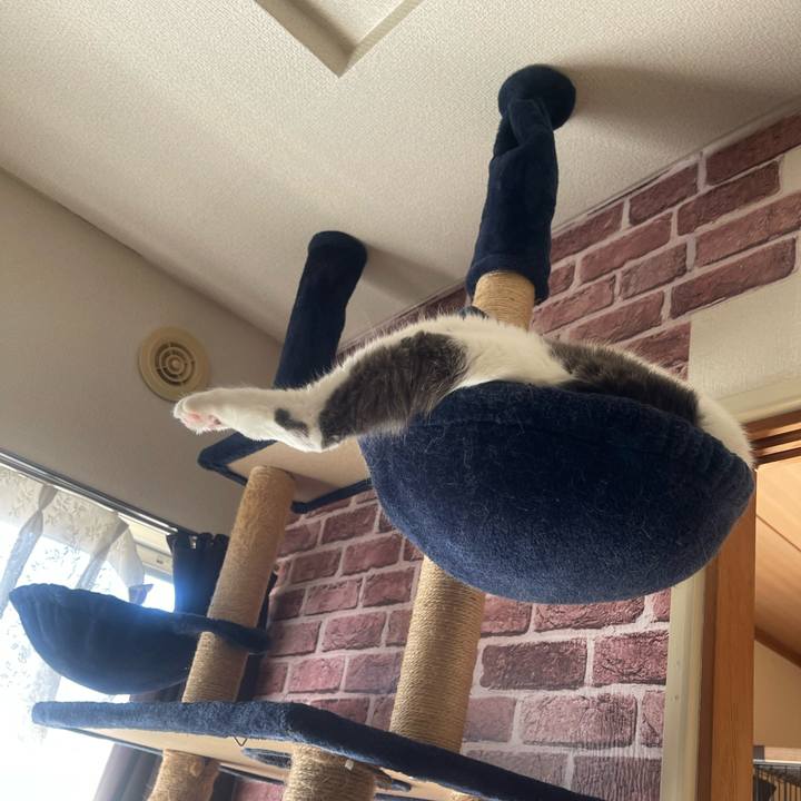 4df5f4ab 7d51 40bb b40d c90ea6f28fc7 1731136965078