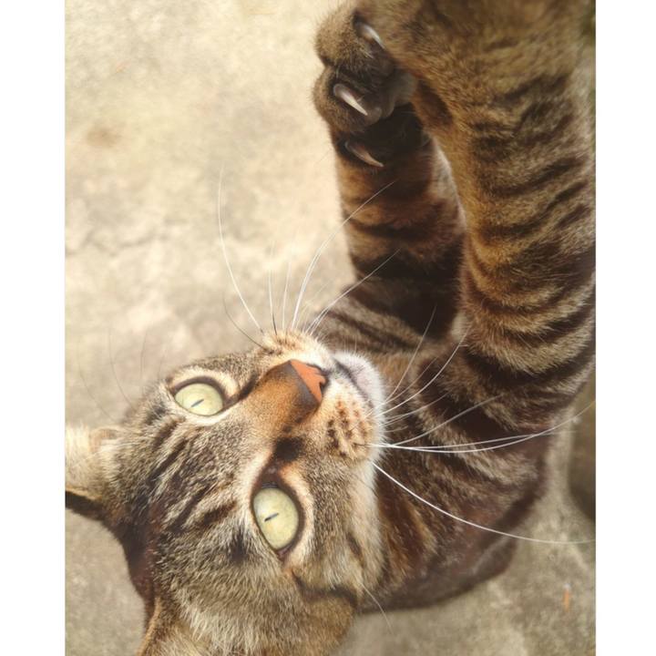 4df650bf 97e4 4c62 b095 8792f2a843b6 1620098100356