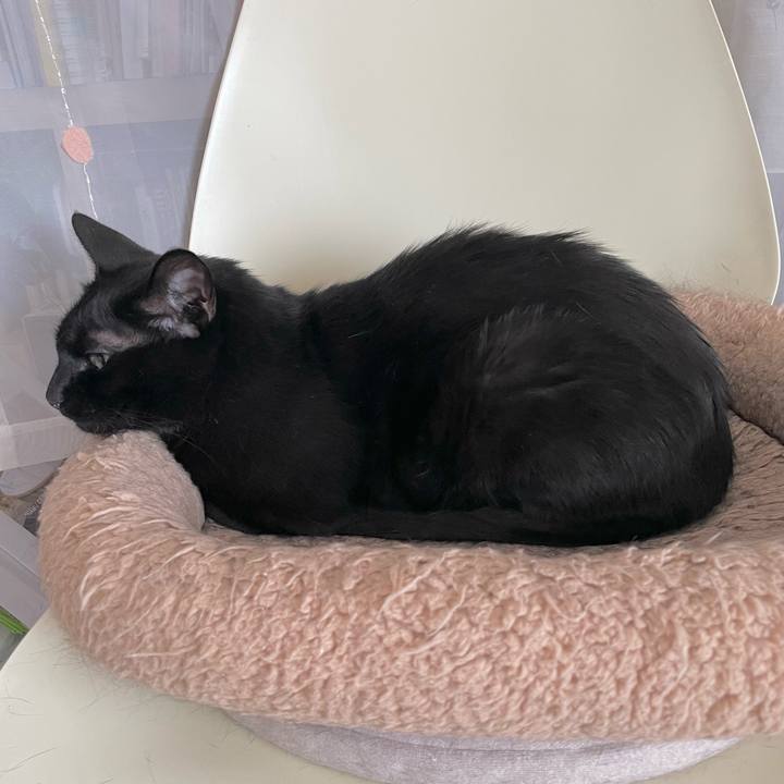 4df68e75 feb2 4523 82e5 a7153f4daf91 1657332412908