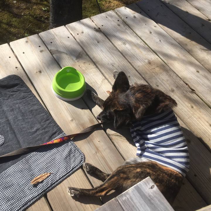 4df6c205 fcc0 4653 862d b0c0bda24947 1545738453780