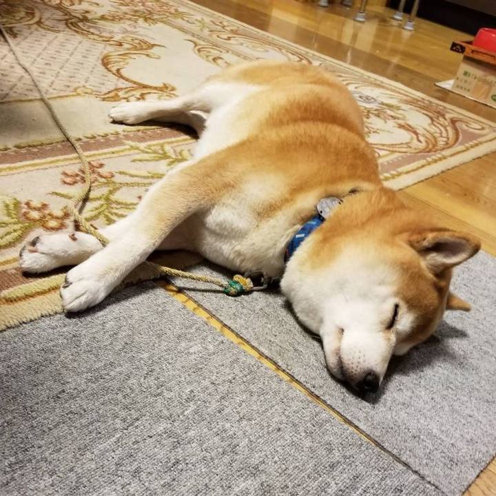 4df6cb76 9fd6 4bd6 b3e8 89efad32ec55 1571040339379