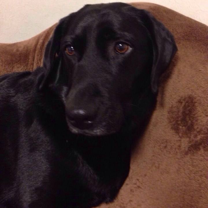 4df6d4ea 125c 4cd2 b80a 57188727c43b 1743347902929