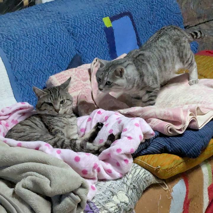 4df6dda2 d856 427e a587 902ca01526f4 1739272854276