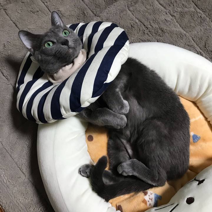 4df71de7 4abe 46b0 9d57 b1ddfc8a7418 1550995068770