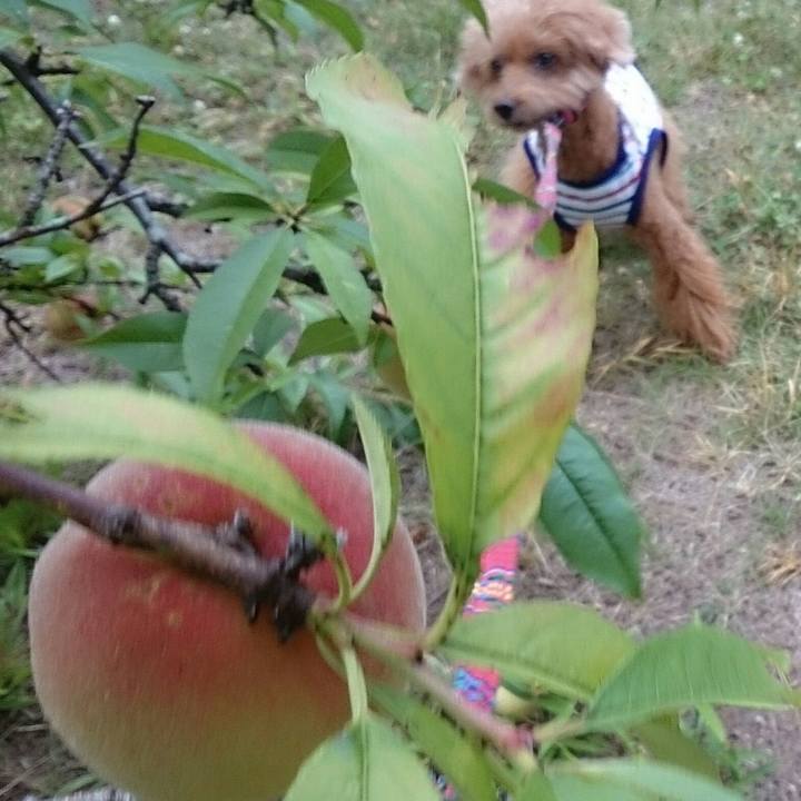 4df73924 718f 4175 bc43 cc7df7b9d024 1532512371119