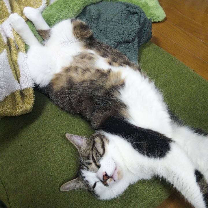 4df75f8a 2fef 4fd4 8609 321c6b8b2da1 1648033836460