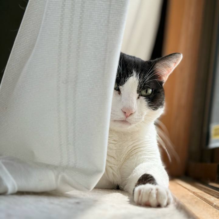 4df771f0 0146 4607 b025 37b455fcc21f 1747966492583